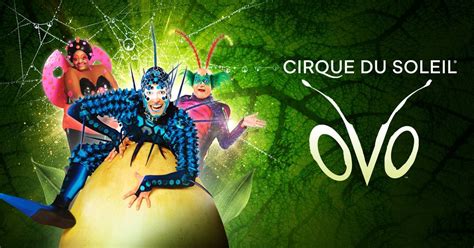 ovo lausanne|OVO : Spectacle de tournée. Voir billets et offres